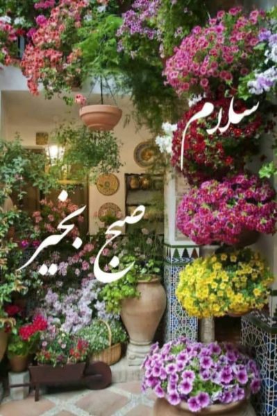 پکیج  و مشاوره طب سنتی و درمان